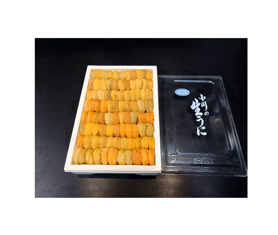 Japanese shell Fresh sea urchin