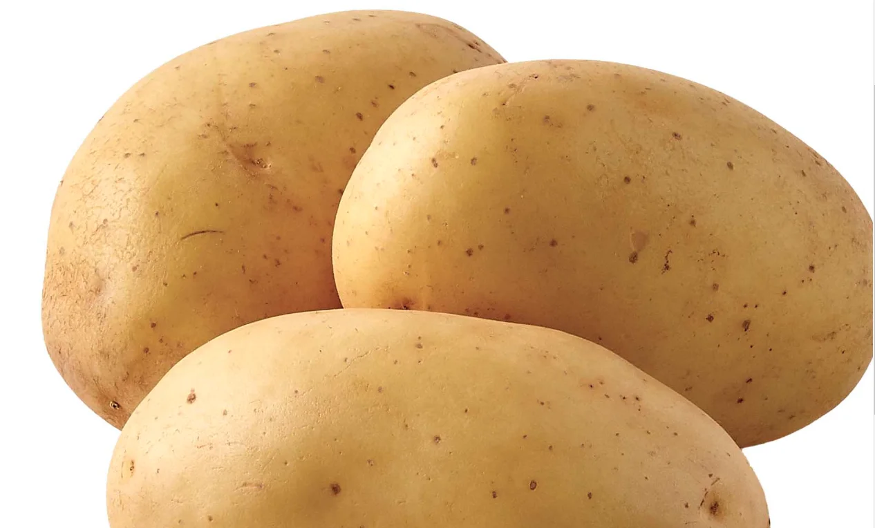 New fresh Potato yellow bulk new crop good quality per ton good price for wholesale fresh potato professional export potato 2022