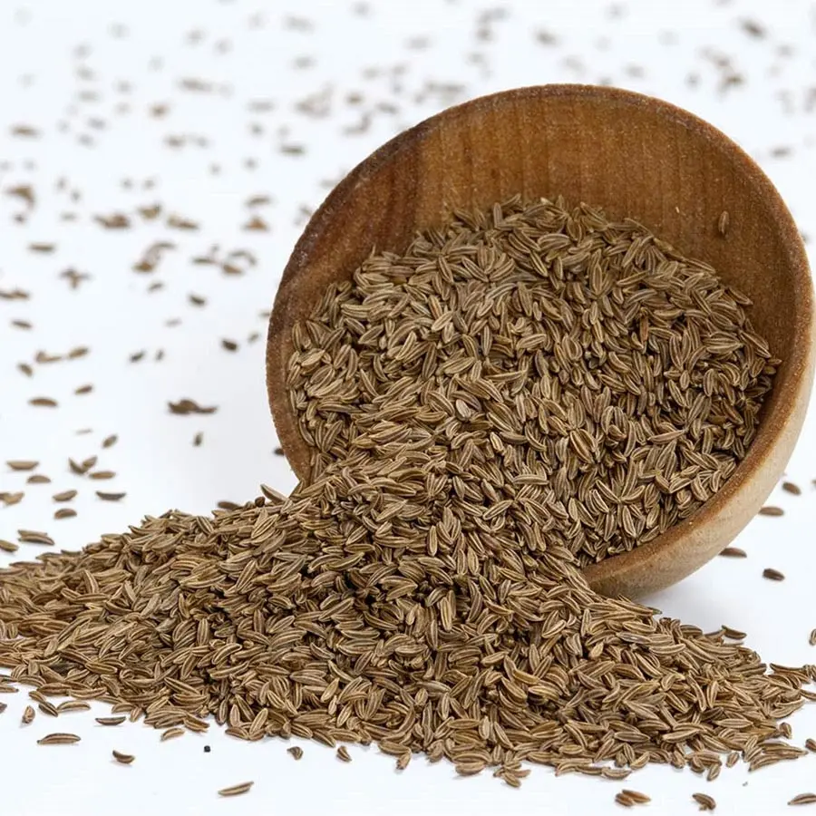 High quality Egyptian Caraway seeds Herbs spices Grade A FOR EXPORT