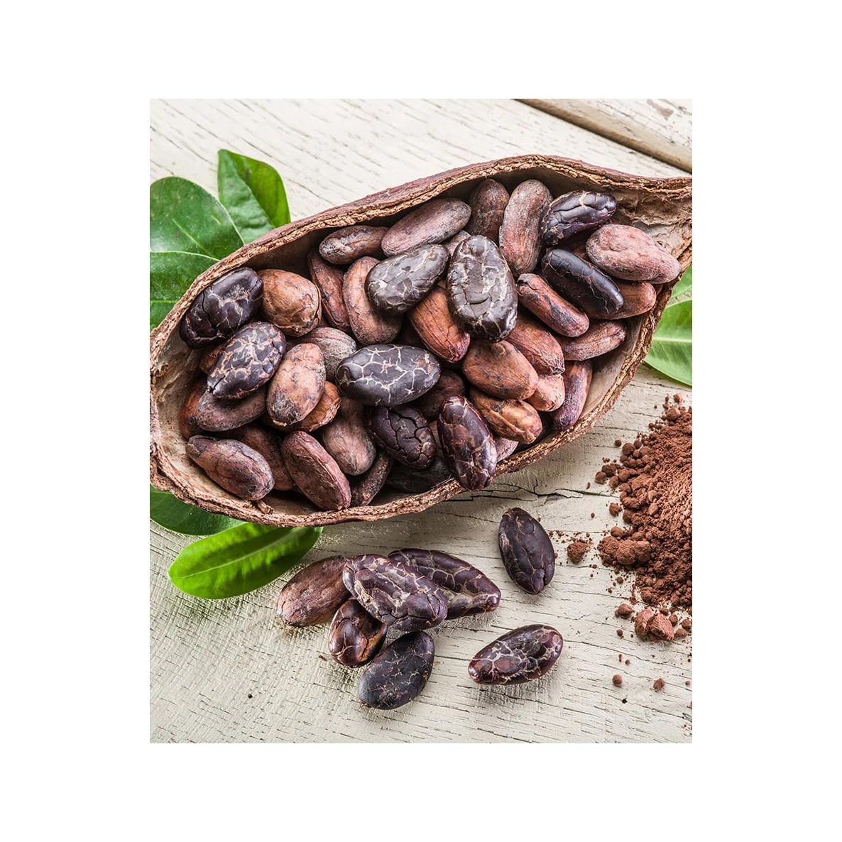 Cocoa Beans New Crop fermented cocoa beans