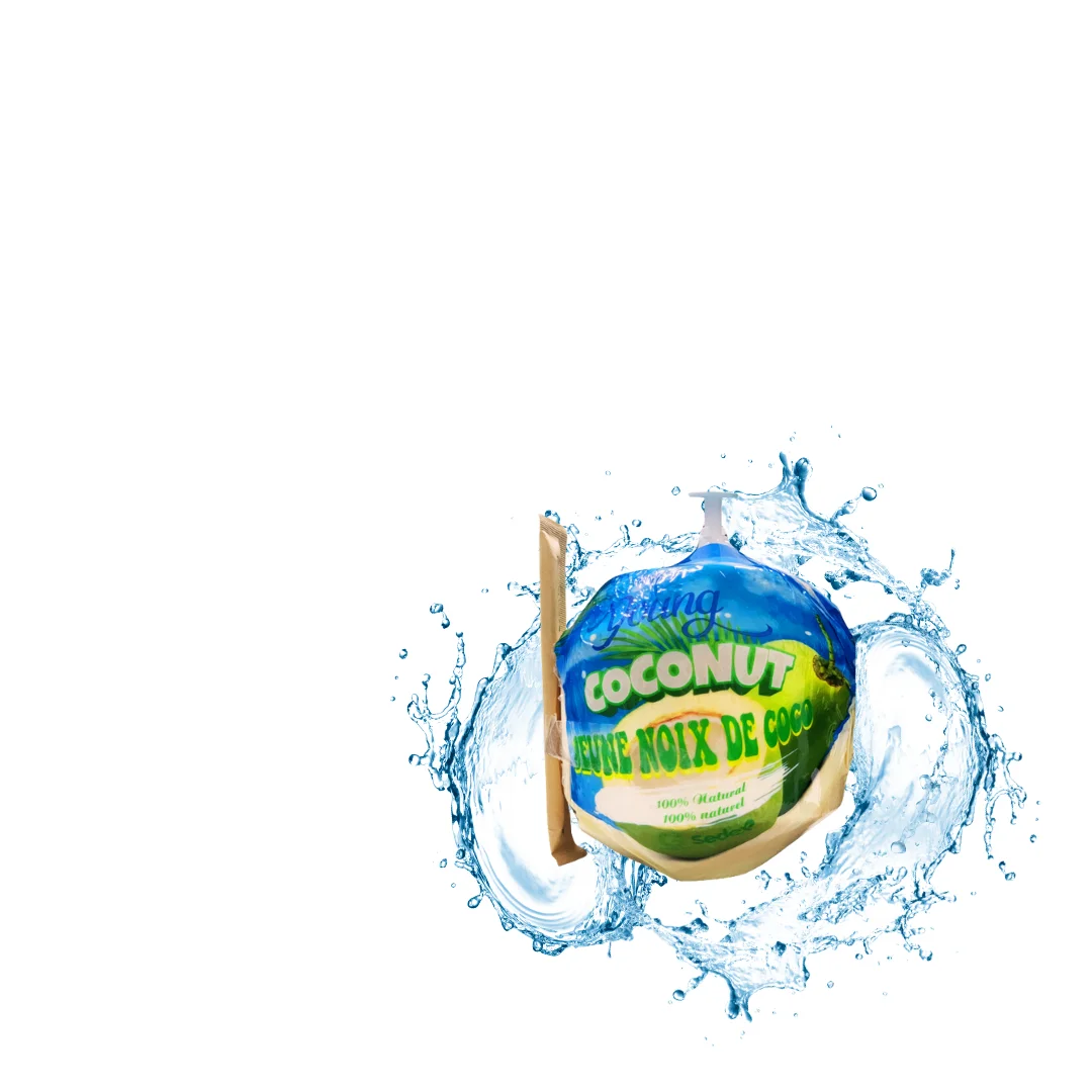 Fresh Coconut from Vietnam - Complete Natural Purity