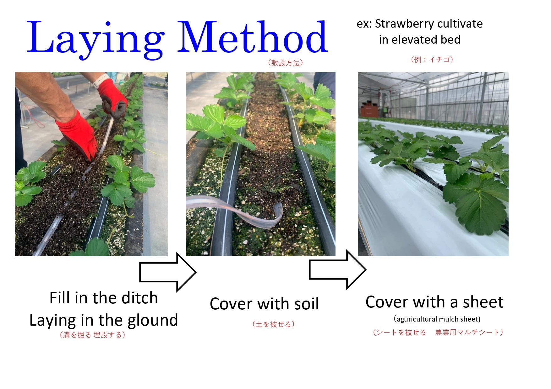 Self-Heated Outdoor Floor Cables with Temperature Sensor Connection Plants for Agriculture Weatherproof Seal