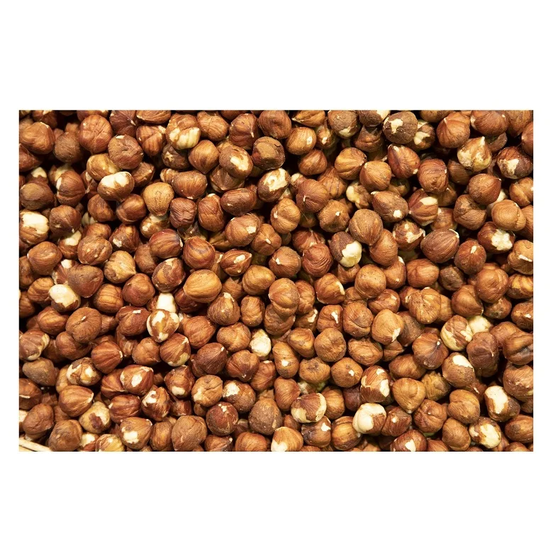 Wholesale Supplier of Dried Organic Hazelnuts Bulk Quantity Ready For Export