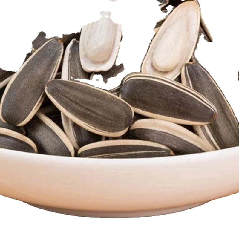 363 big size new crop sunflower seeds best price and quality seeds from China Inner Mongolia