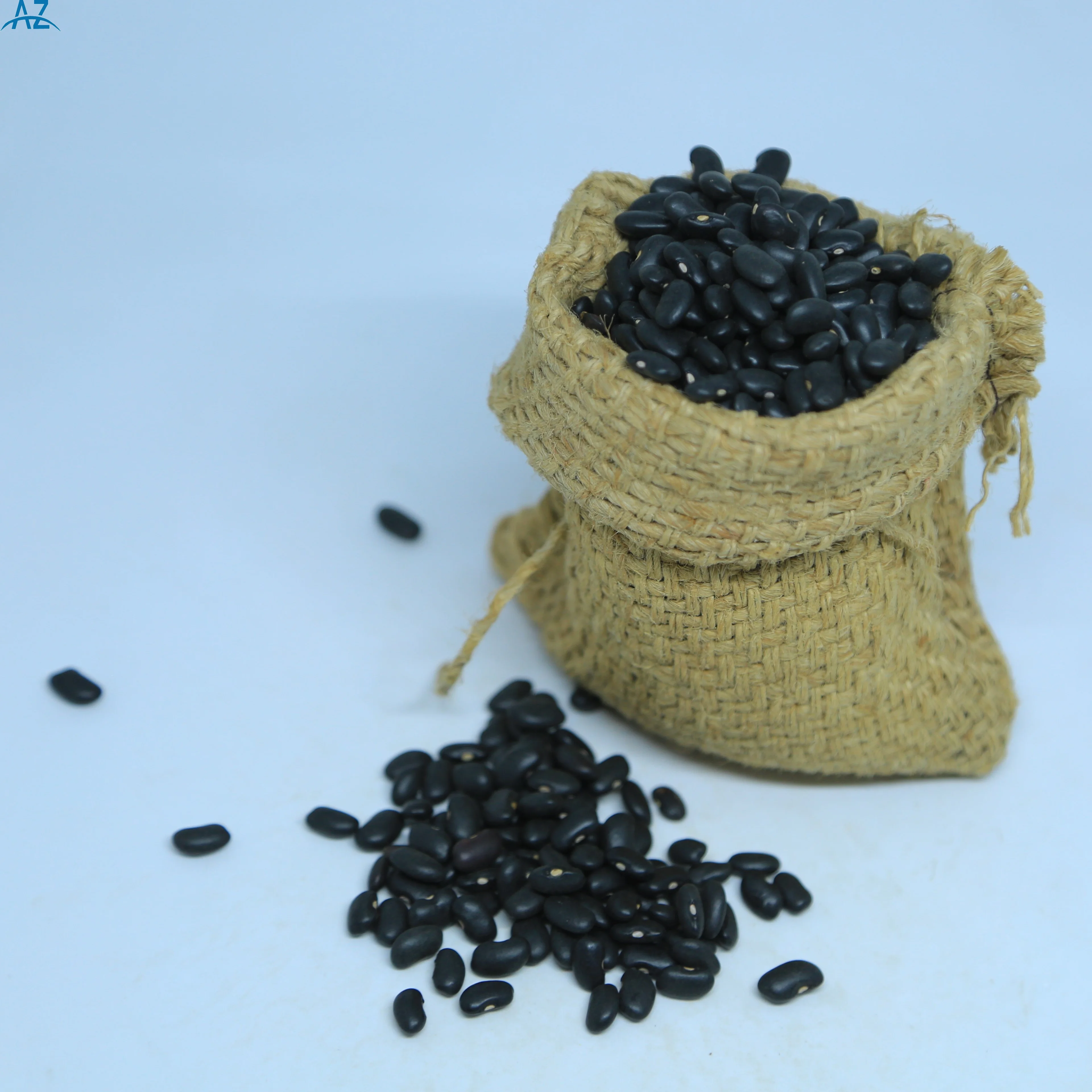 Top Quality Ethiopian Black Kidney Beans, 420-450/100gm, Fresh Harvest 2024, Direct from Farm, Bulk Available