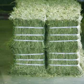 Buy Alfalfa Grass Hay Alfalfa Hay Pellets For Animal Feed