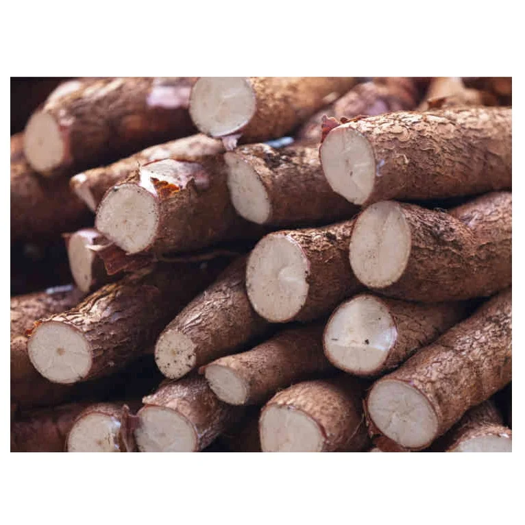Online Buy / Order Top Quality Vegetable Fresh Costa Rica Cassava Roots With Best Quality Best Price Exports From Germany