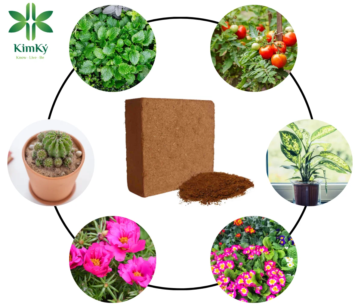 Natural Material Best Quality Coco Item Coconut Peat 4,5Kg Block For Seeding And Growing Plant With Size 29 x 29 x 15cm In 2024