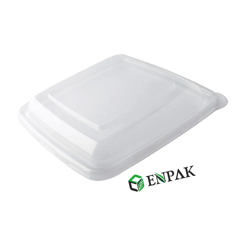 Biodegradable sugarcane bagasse tray for food for catering