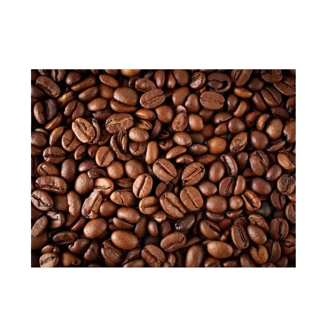 Wholesale coffee green beans with export Arabica coffee bean