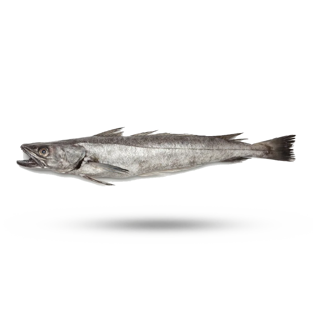 hake.png