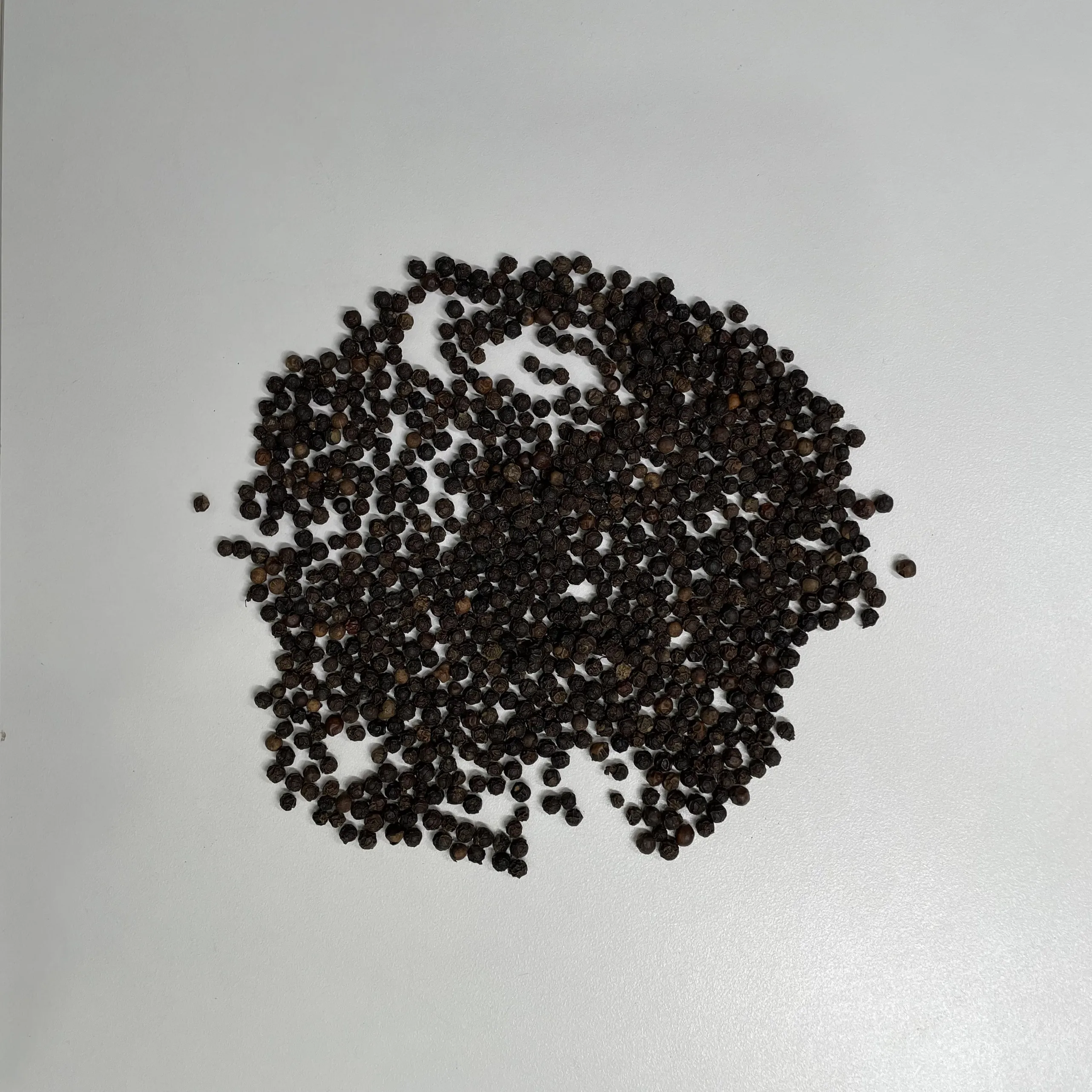 black pepper rate 550GL MC vietnam spices black pepper grinder ceylon souce black pepper 550 gl