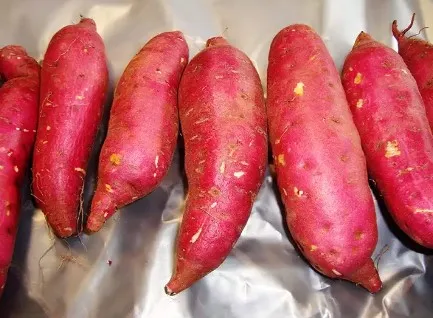 100% свежий фиолетовый сладкий картофель, конкурентоспособная цена, 100% свежий фиолетовый сладкий картофель, конкурентоспособная цена