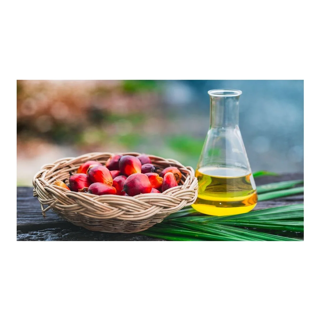 Cheap price Refined Palm Oil for low price Refined Palm Oil