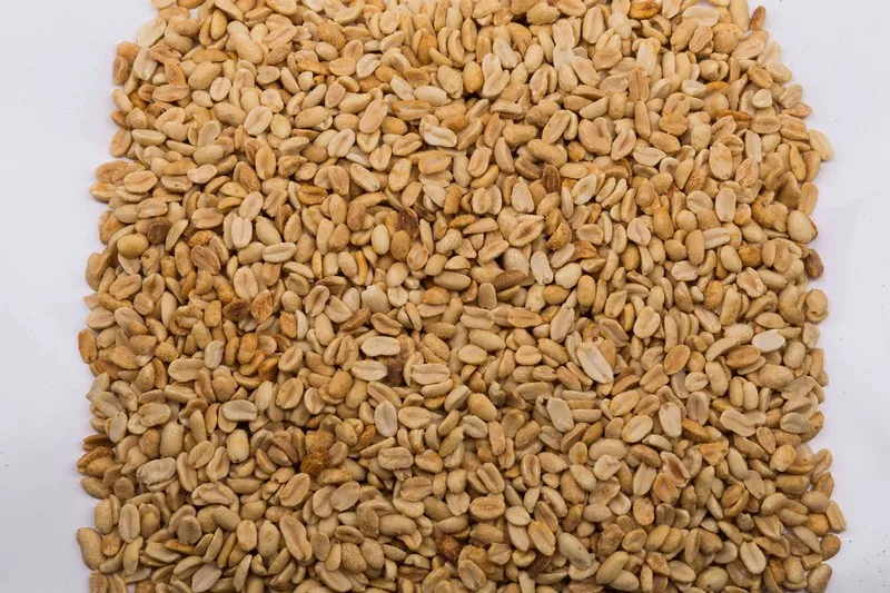 Wholesale Natural Organic First Grade Blanched Salted Peanuts Bulk Roasted Salted Peanut Laser Sorting Peanuts Nuts & Kernels