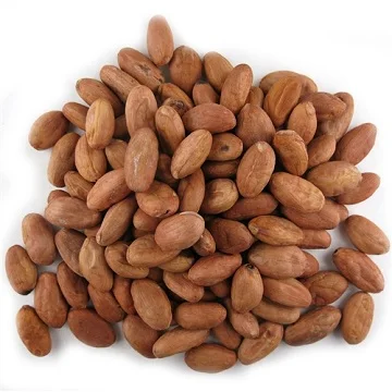 Wholesale Supplier Best Quality Cocoa Bean For Sale In Cheap Price