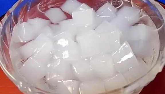 BEST SUPPLIER OF HIGH QUALITY COCONUT JELLY NEW VIETNAM / MS JENNIE