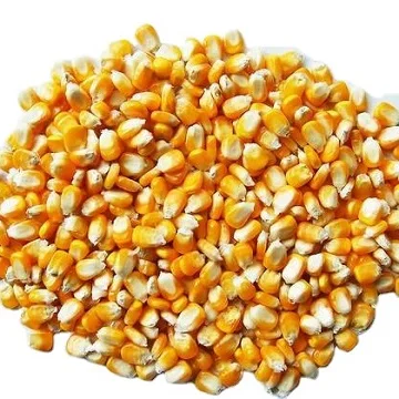 cgm corn gluten meal 60% protein corn yellow corn powder not gluten meal animal feed