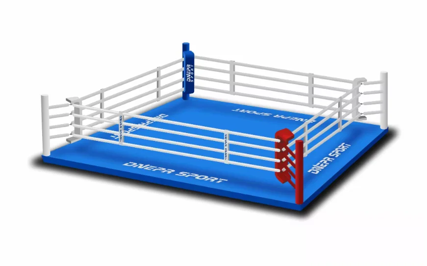 JIKE Sports 4*4M 5*5M 6*6M 7*7M 8*8M High Quality MMA UFC Taekwondo Muay Thai etc Stage Customized Size Logo Color