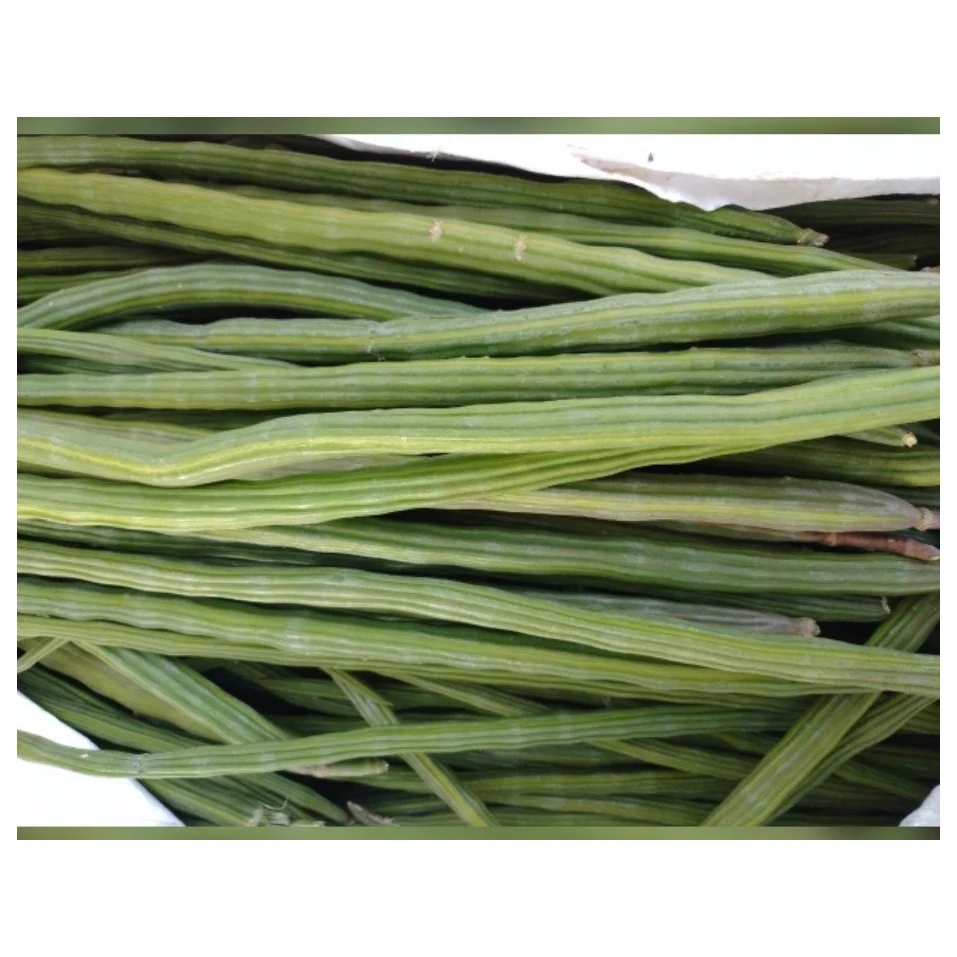 Okra Fresh Lady Finger Gumbo Okra Whole Okra Vegetable Cut in Frozen Vegetables with Good Price High Quality Fresh Drumstick