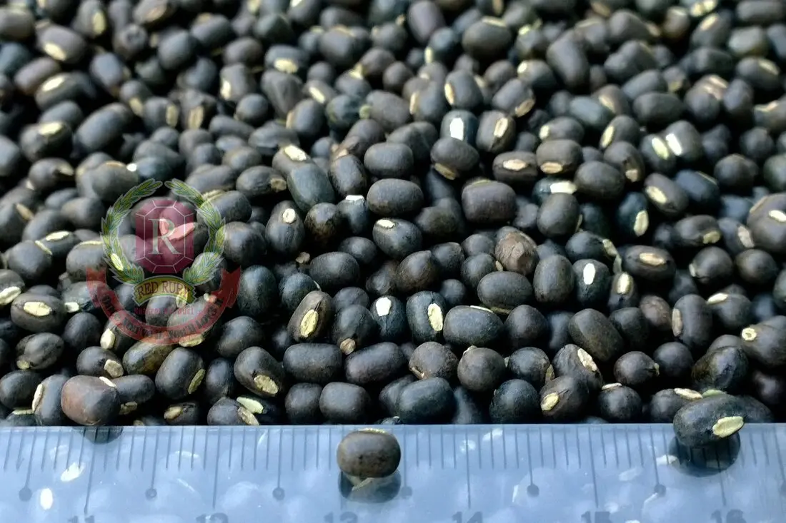 Urud Whole ( Black Matpe)