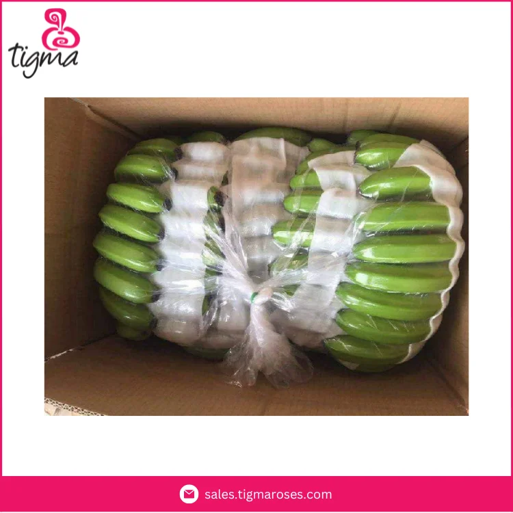 Latest Stock Arrival Best Selling Organic Fresh Cavendish Banana Ready To Ship from Ecuador