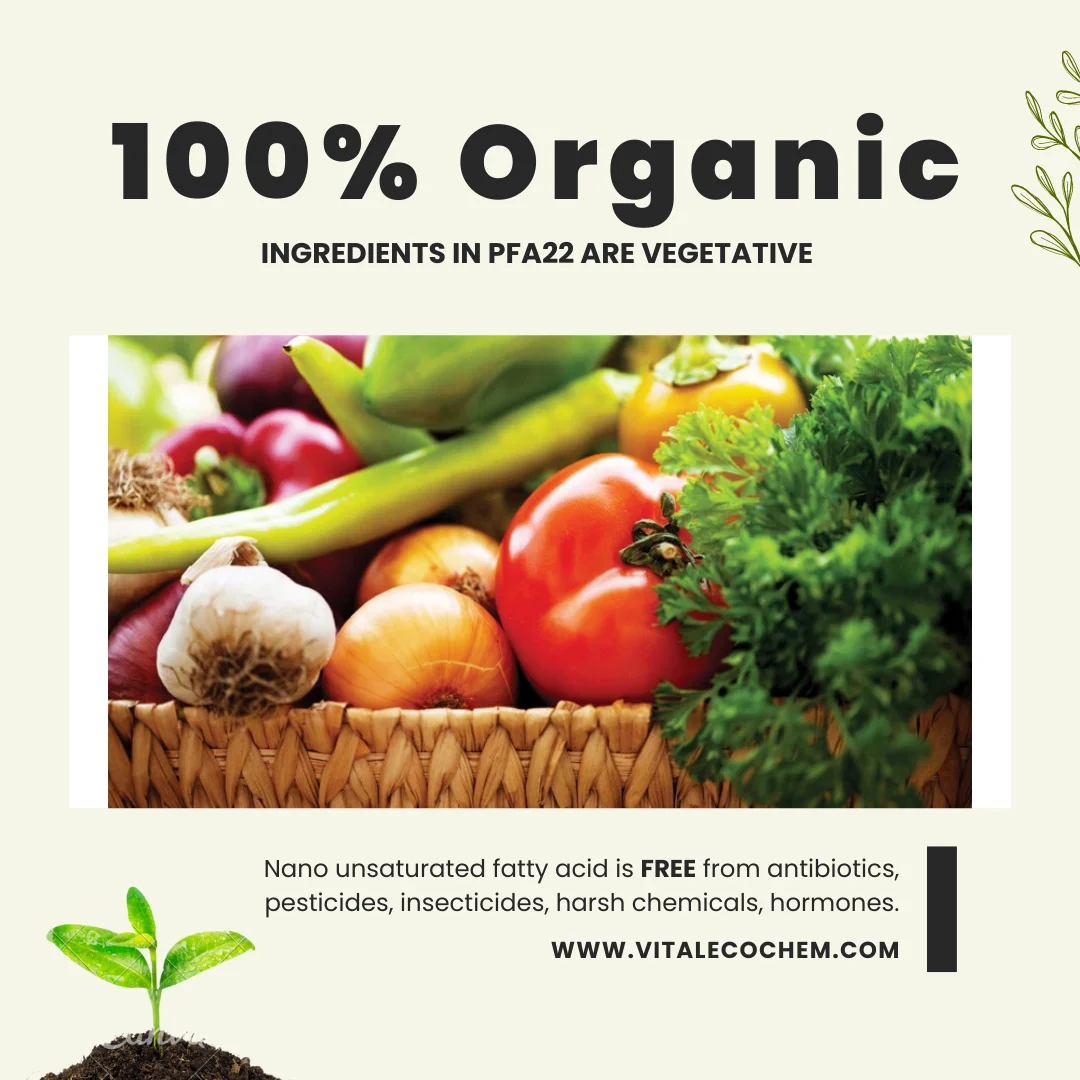 Nano-fertilizer dap fertilizer alternative easy administration