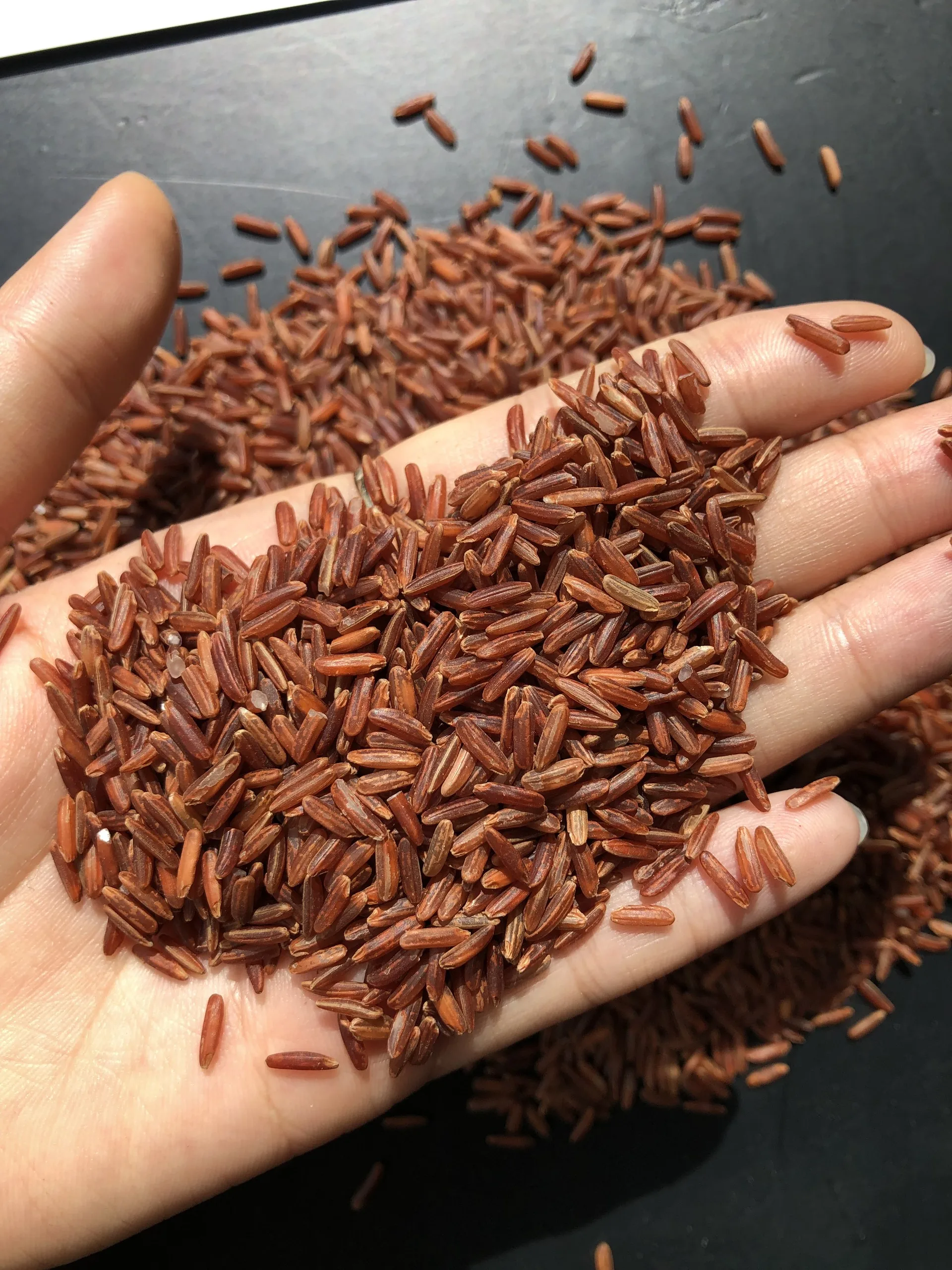 Brown Rice Specifically Red Rice Available For Import In OEM Packaging, Catering To Wholesale Retail Chains Jasmine Rice
