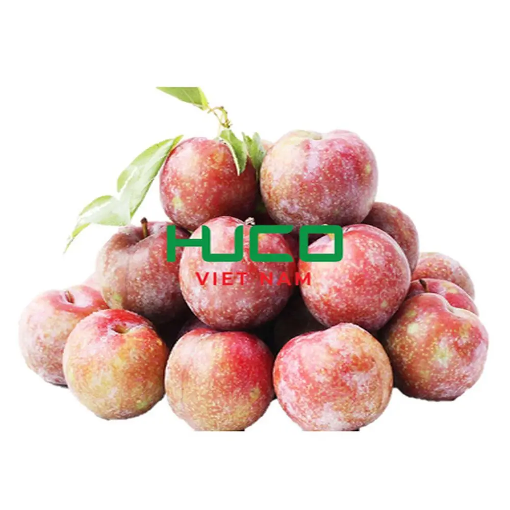 New Harvest Plums Vietnam Fresh Plums Red shell Fresh Fruit Production Of Non chemicals