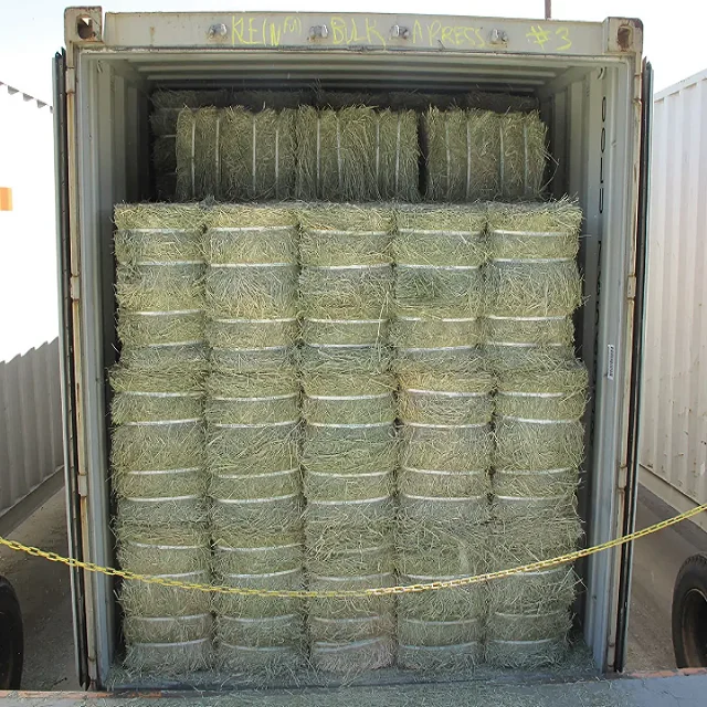 Alfalfa Hay at very cheap price / Quality Rhodes Grass Hay Alfalfa For sale