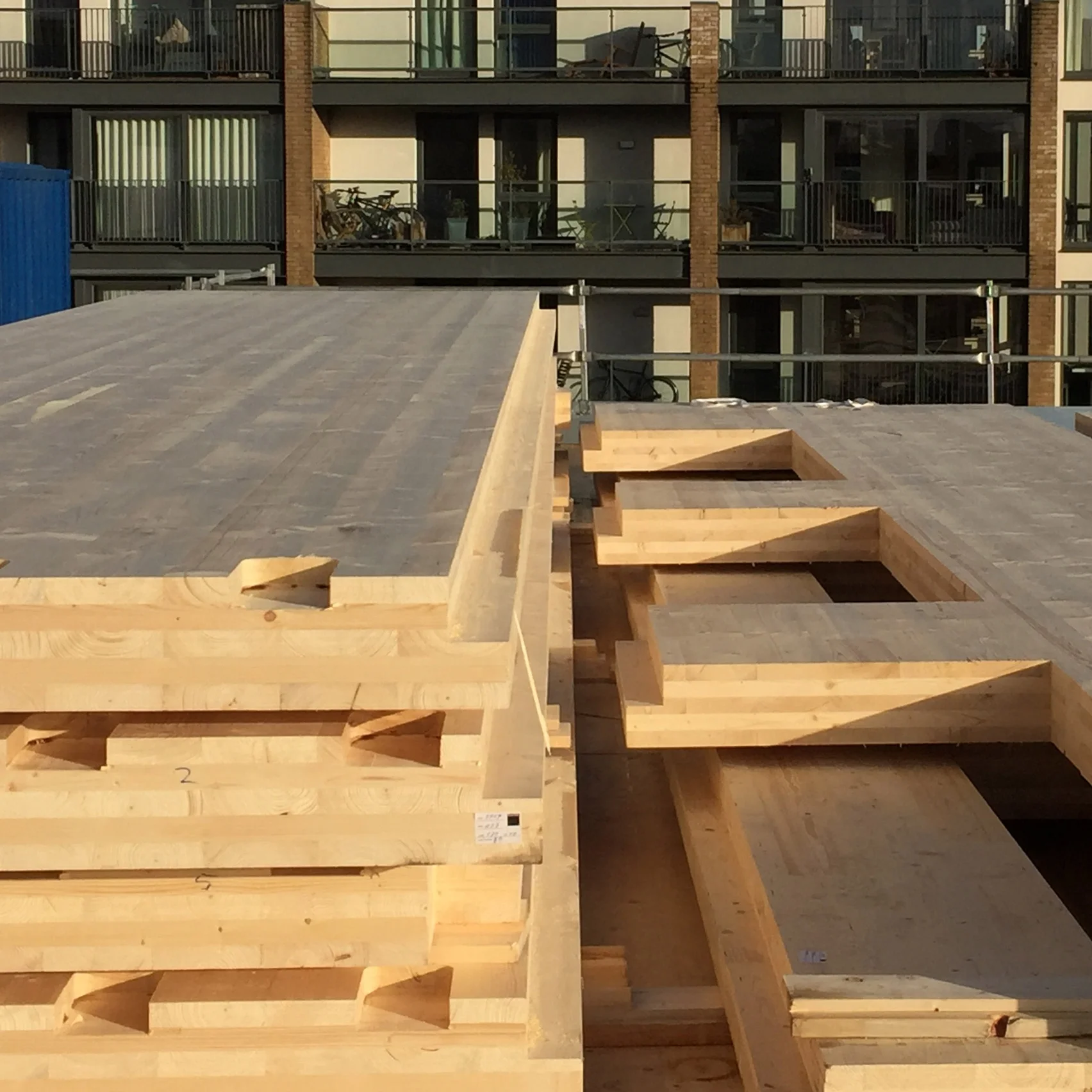 100% Natural Pine Wood Logs/ Sawn Timber