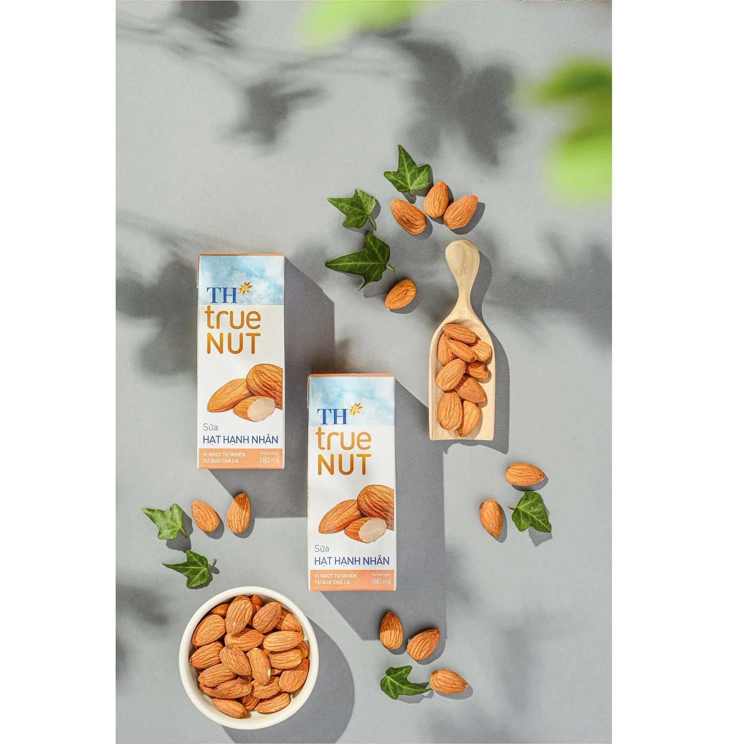 Almond Milk TH true NUT 180 ml Sterilized 9 Months Shelf Life High Quality Blended Dairy Products Drink Flavored Milk