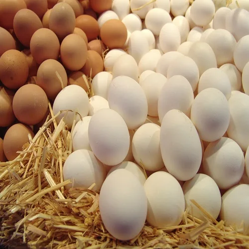 High Quality Dried Whole Egg Powder From Chicken For Sale