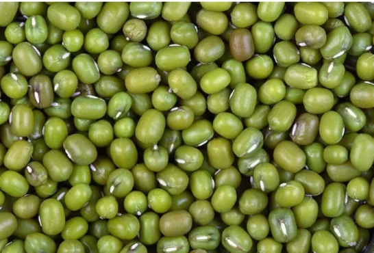 green mung beans 5.png