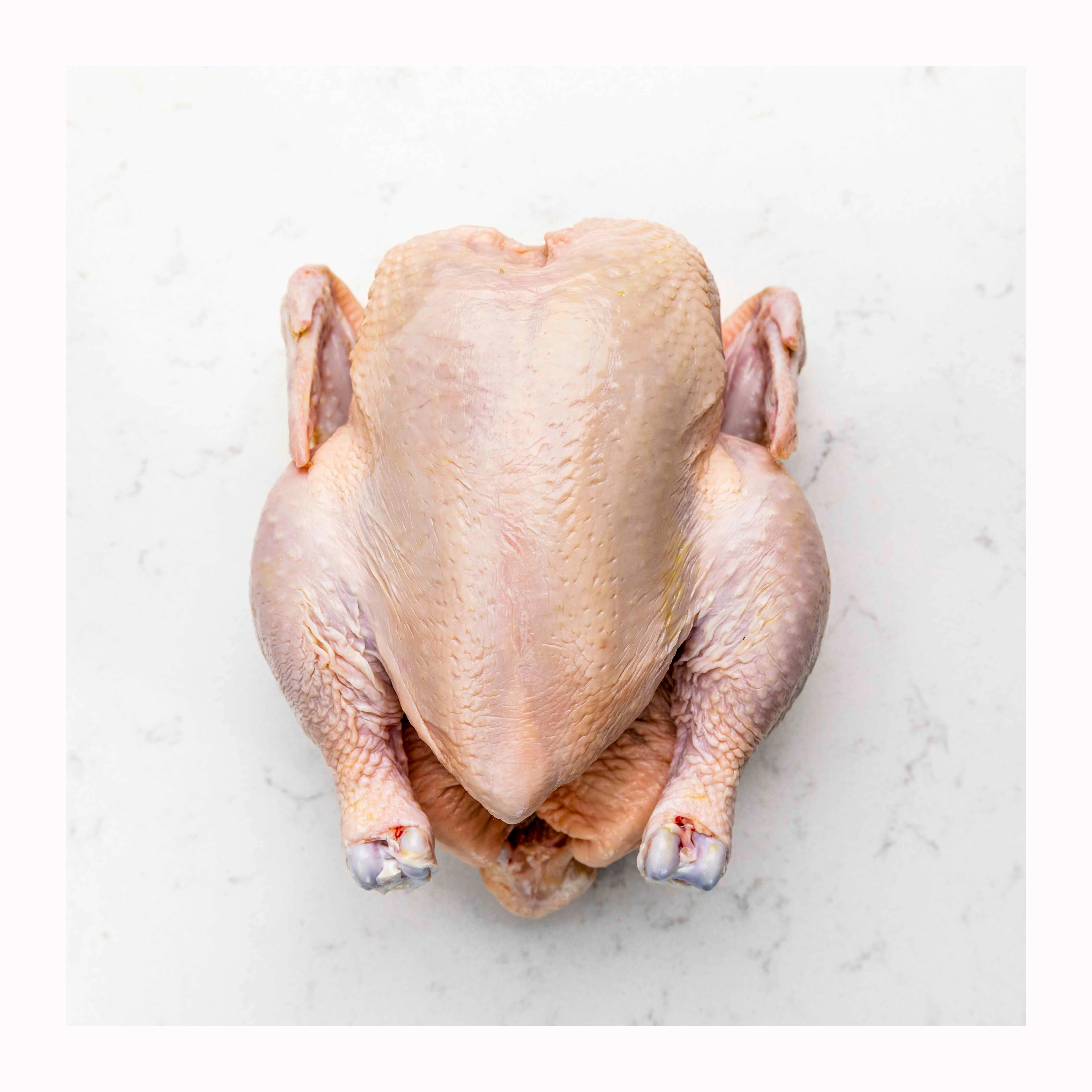 Высококачественная замороженная курица/замороженная