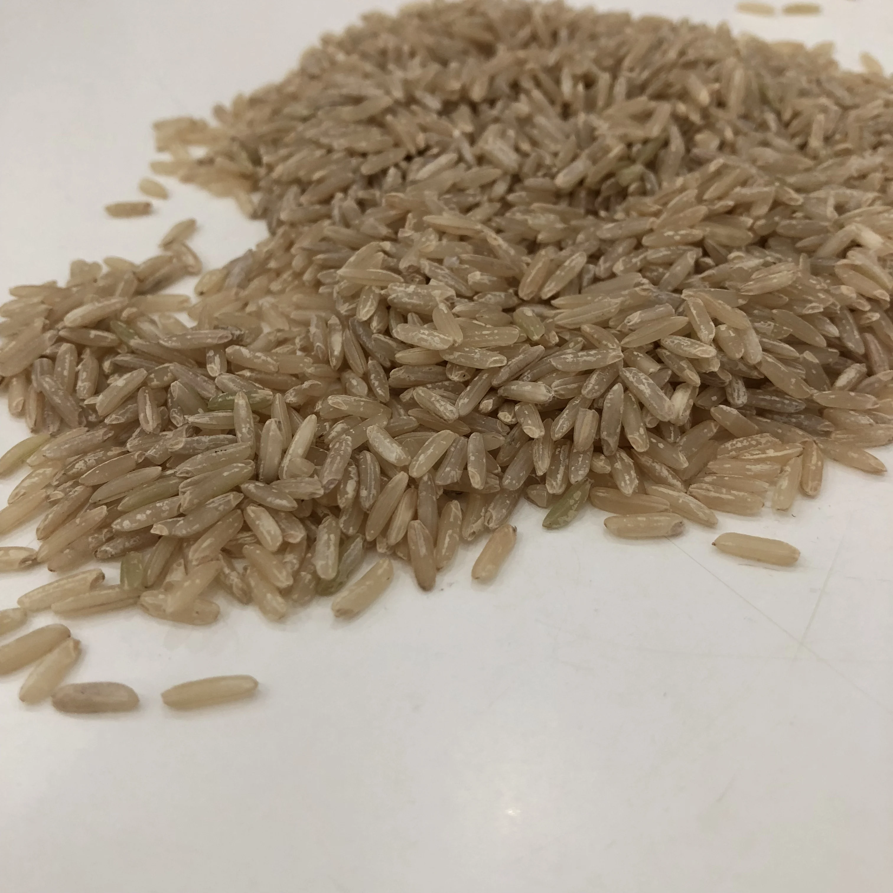 HIGH QUALITY VIETNAMESE 24 MONTHS SHELF LIFE WHOLESALES RICE WITH ISO HACCP BROWN RICE LONG GRAIN MANUFACTURED BY JCC RICE