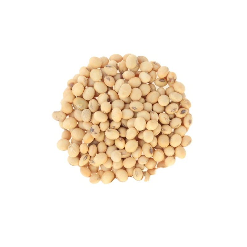 High Grade Soy Beans Raw Soya bean Grain In Bags Organic Bulk Soybeans Seeds For Food For Sale