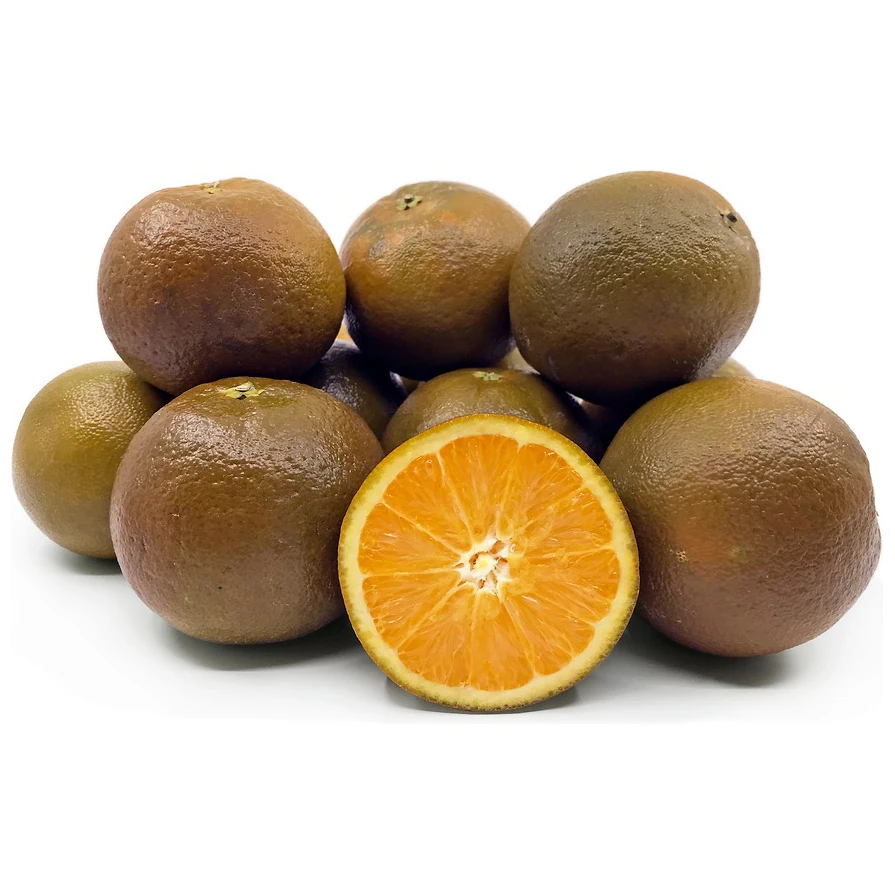 Highest grade sweet juicy fresh big fruit orange for sale Natural High Quality Sweet Fresh Citrus  Navel Orange