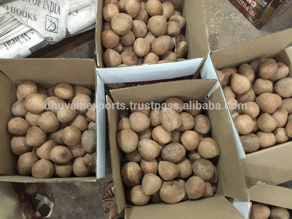 Edible Grade Whole Dried Coconut 100% Natural White Copra Reasonably Priced round Ball Style from India Exporter