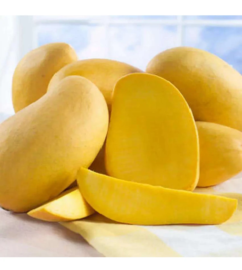 High Quality Fruit Chaunsa Mango Sweet Style Color Weight NATURAL Origin Type Variety Size Grade Pacific Product