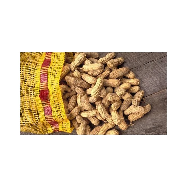 High Quality Raw Peanuts Without Shell Raw Peanuts Blanched Peanuts Peanut Harvester Agriculture Wholesale Natural Organic
