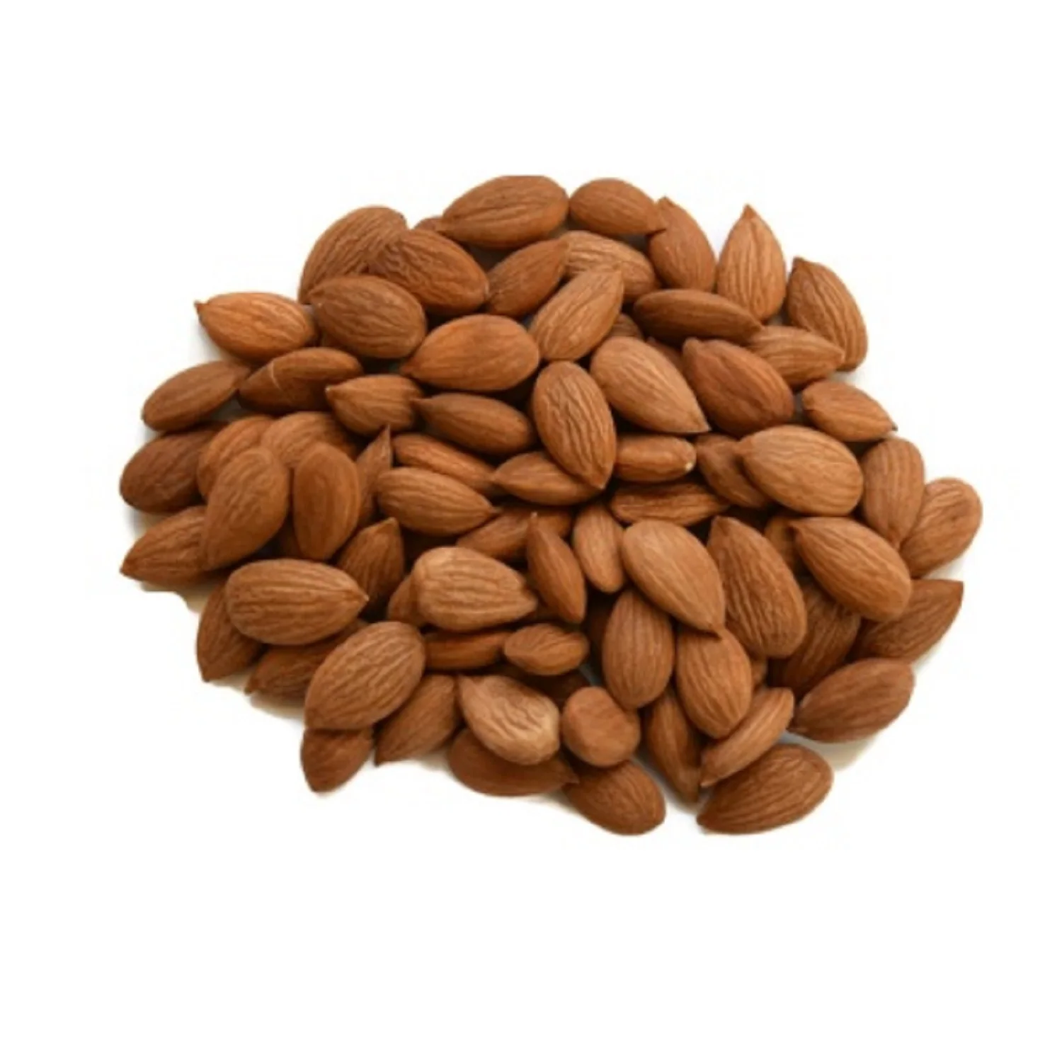 OEM services Bitter Apricots Kernels Factory rate in Hot Price