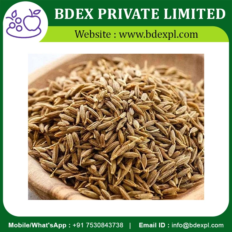 100% Organic Spices Whole Cumin Seeds At Wholesale Price