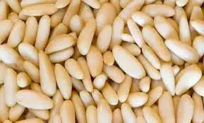 Organic Pine Nut Kernel For Sale