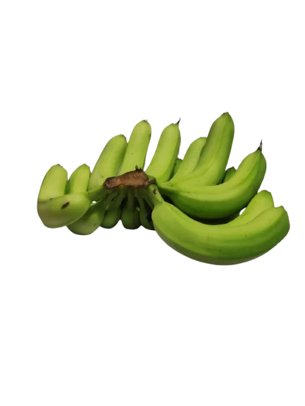 100% Organic Fresh Banana Hot Selling Price Exporter Sweet Natural Top Brand Wholesaler Manufacturer Grade A789 Cavendish Banana