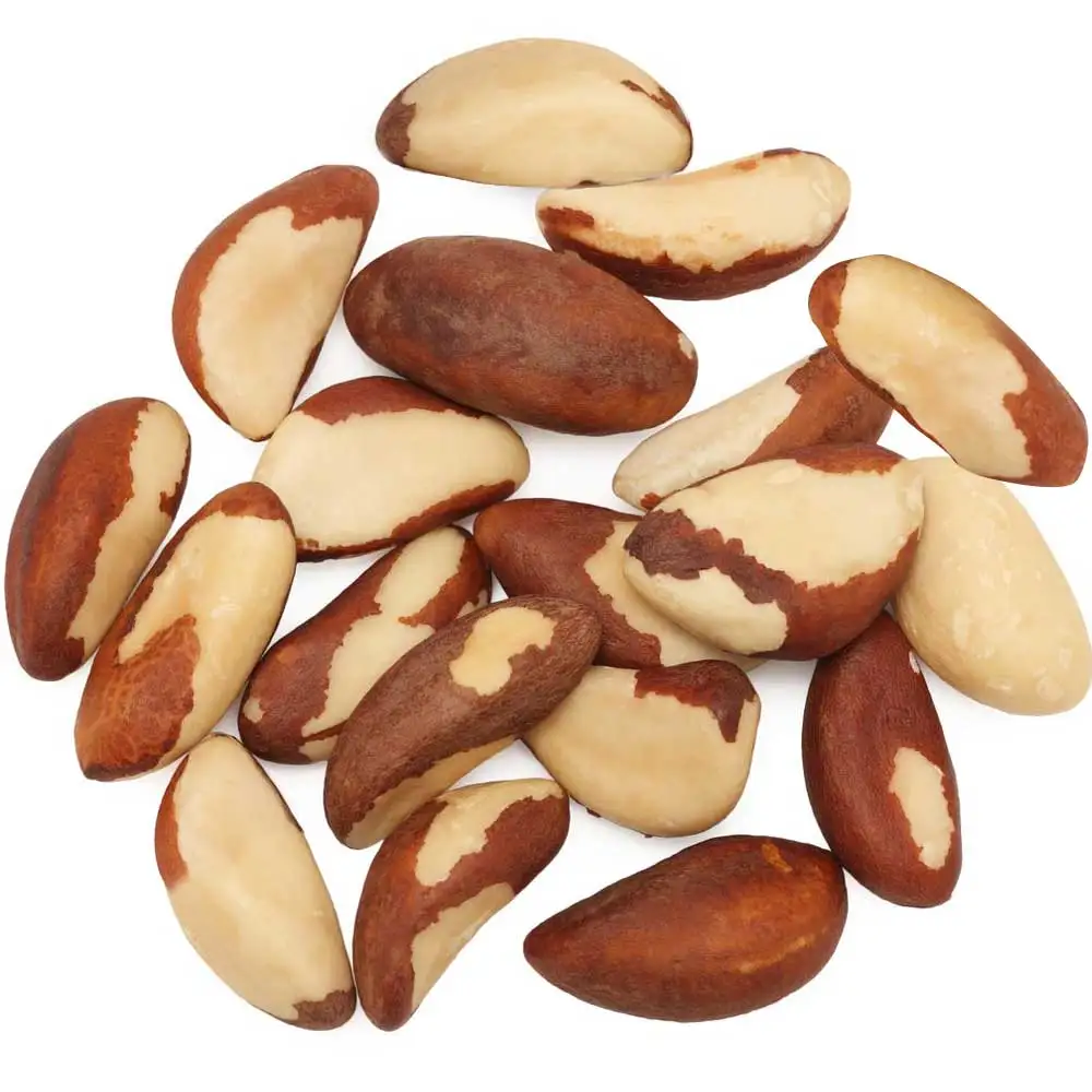 Wholesale Price Raw and Roasted cheap price Brazil Nuts 100% Raw and Roasted Organic Brazil Nuts