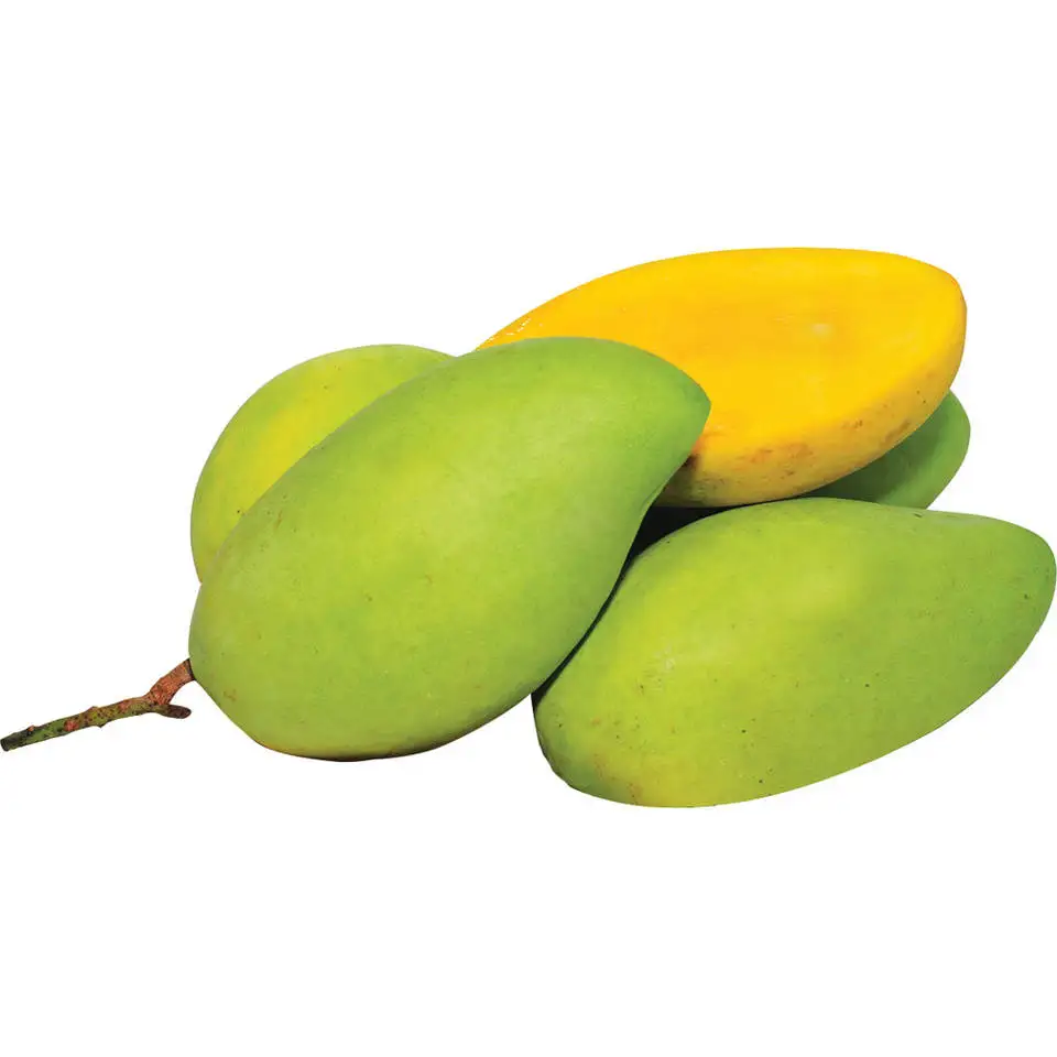 Wholesale Fresh Mango High Quality Fresh Green Cat Chu Mango From Vietnam Sweet Mango Packing Carton