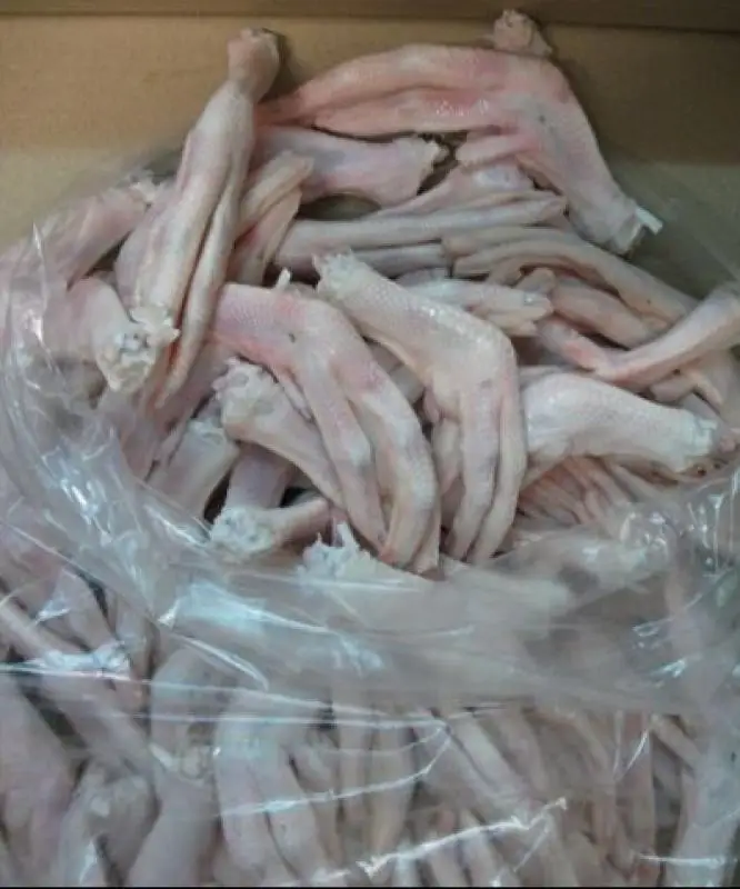 Leg Quarter Halal Frozen Duck for Sale Top Quality Halal Frozen Duck Leg Quarters Clean