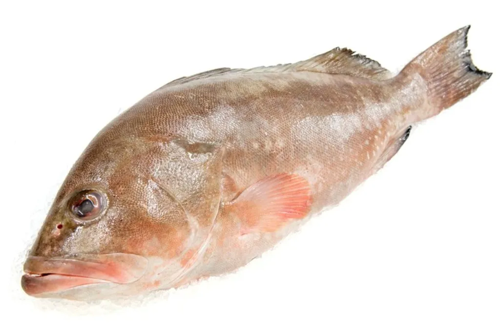 Premium Quality Hot Selling Bulk Supply Natural Clean Delicious Seafood Frozen Red Grouper Fish for Bulk Buyers