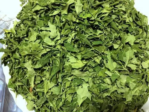 High Quality Herbals Tea 100% Natural Dried Moringa Leaves Originated from Vietnam with Low Price